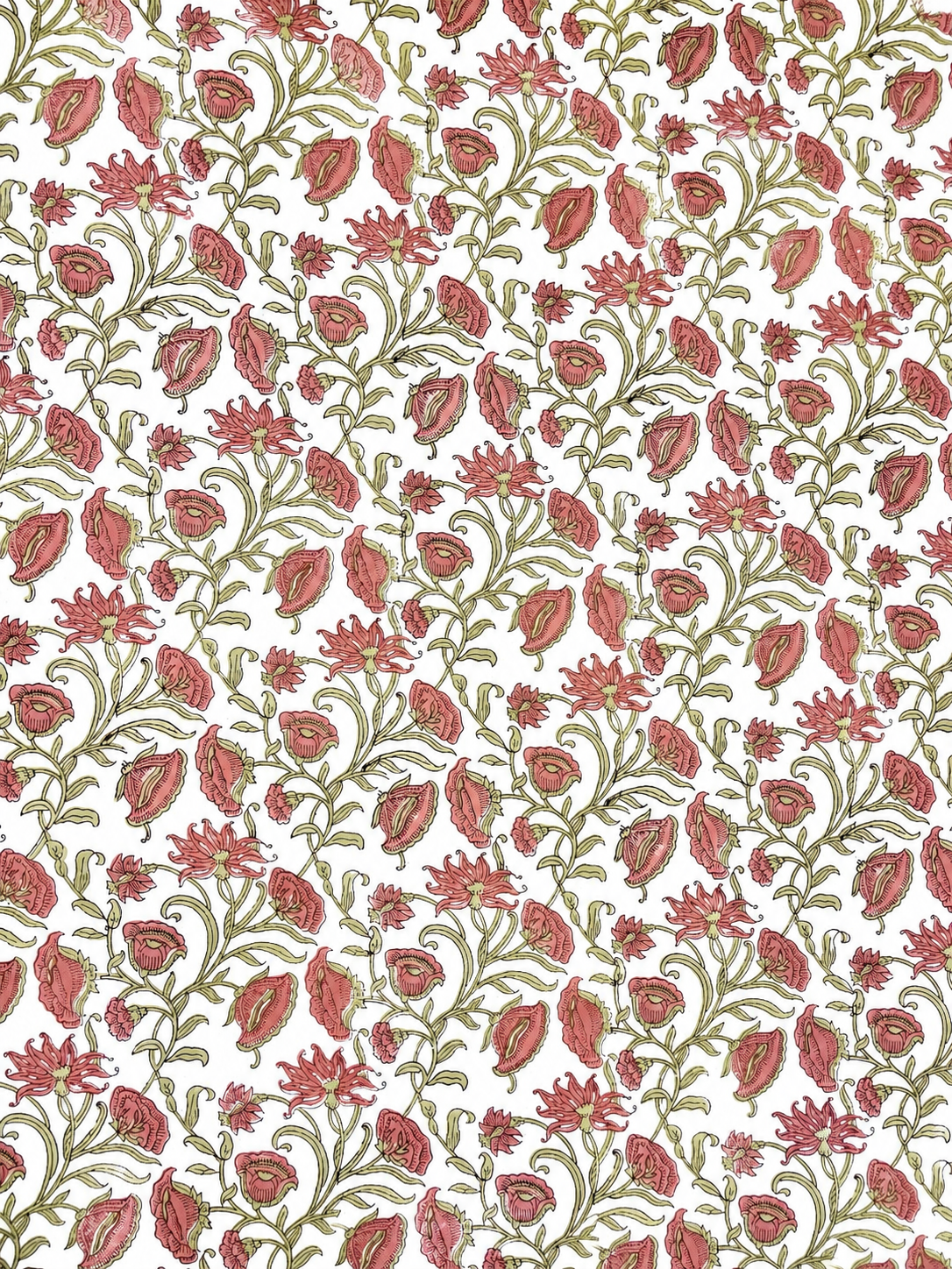 Coral Paisley